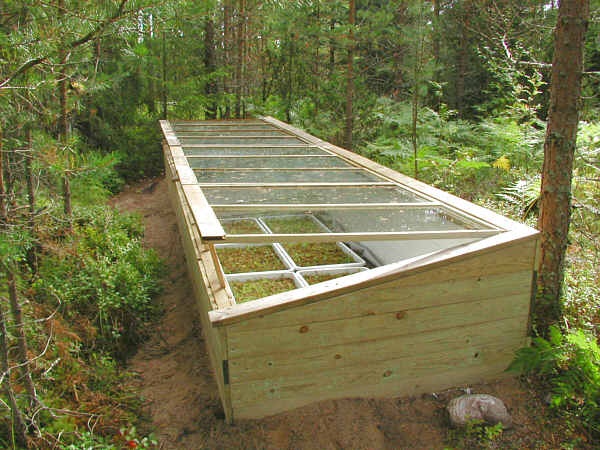 roof_of_greenhouse_ar9ij