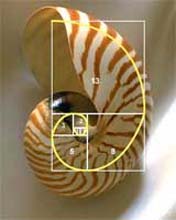 5fibonacci2